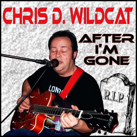 After I'm Gone