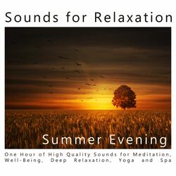 Summer Evening