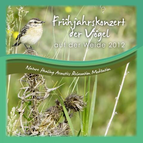 Frühjahrskonzert Der Vögel Auf Der Weide 2012