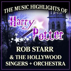 Hedwigs Theme (From "Sorcerers Stone")