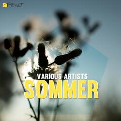 Aufbruch Richtung Süden