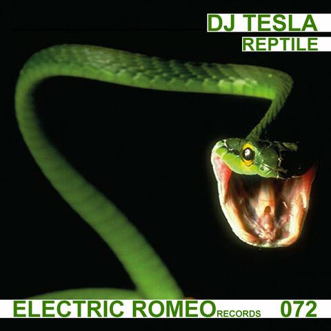 Reptile