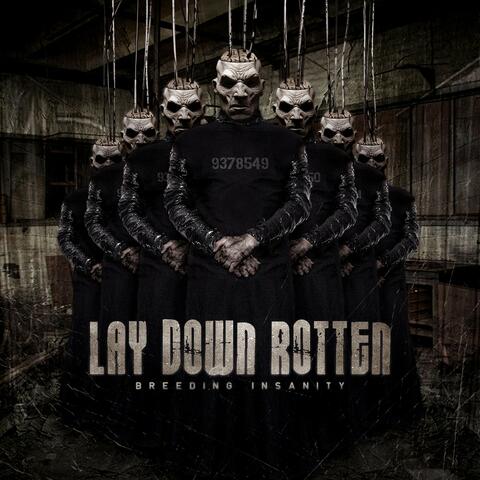 Lay Down Rotten