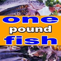 One Pound Fish