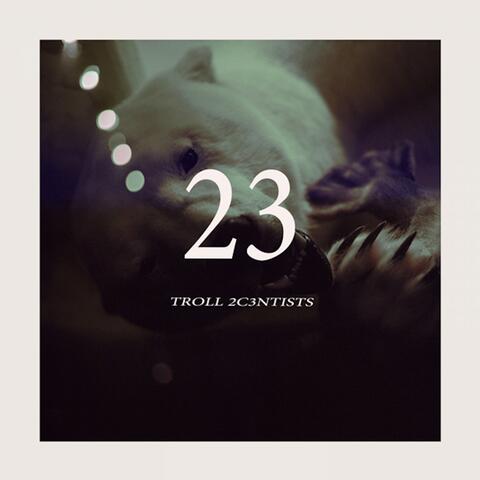 23