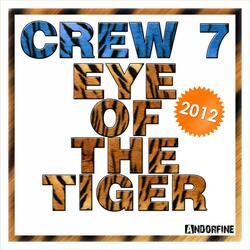 Eye of the Tiger 2012 (Extended Mix)