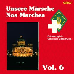 Bundesrat Villiger-Marsch