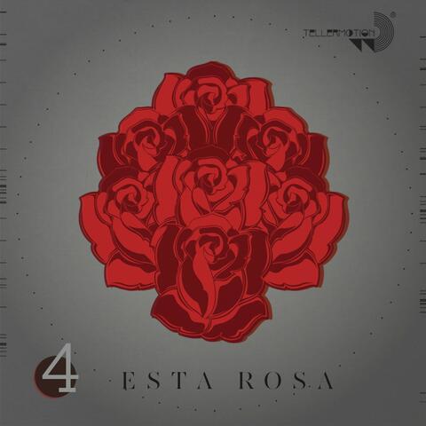 Esta Rosa