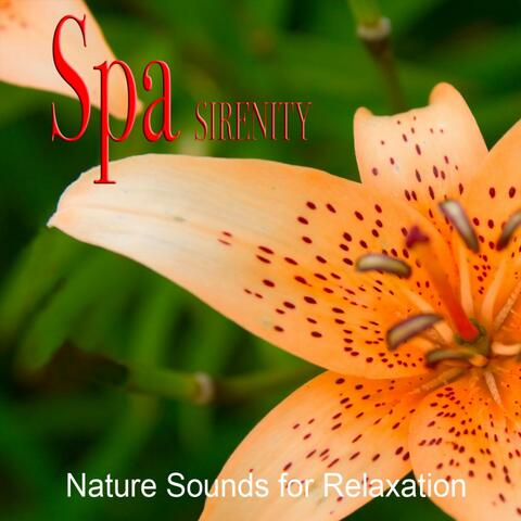 Serenity Relaxation - Nature Sounds and Music for Relaxation, Meditation, Deep Sleep, Healing Massage, Spa, Sound Therapy, Chakra Balancing and Yoga