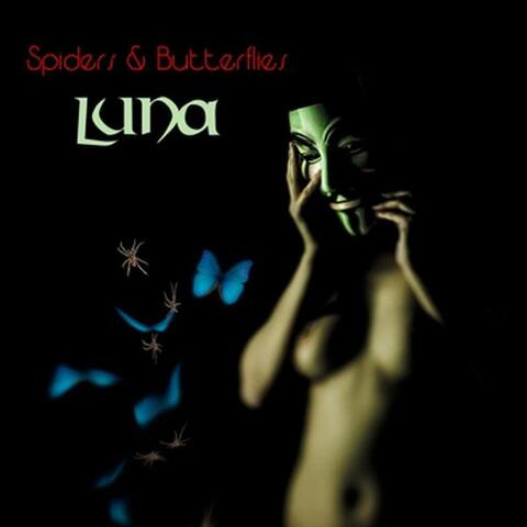 Spiders & Butterflies