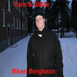Kung för en dag