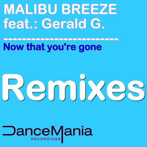Now That You\\\'re Gone (Remixes)