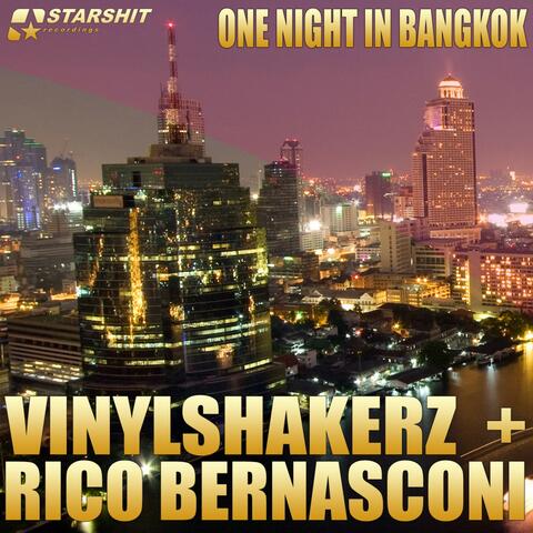 VINYLSHAKERZ + RICO BERNASCONI