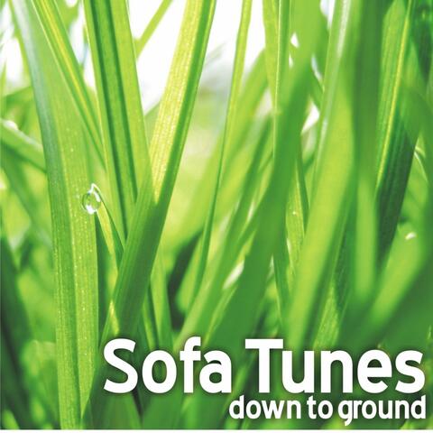 Down to Ground