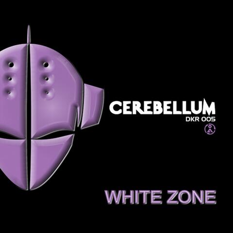 Cerebellum