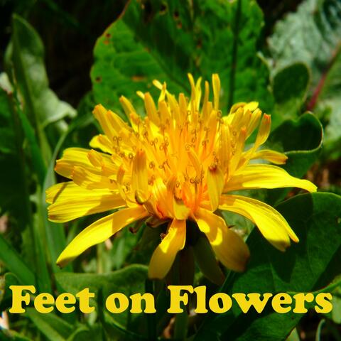 Feet on Flowers