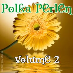 Medley: Ein Prosit der Gemütlichkeit/Ham se schon'n Führerschein/Daß Du mich liebst/Wir ham den Kanal noch lange nicht voll/Amboß-Polka/Schon wieder eine Seele/Wenn du so eine Musi hast/Ein Prosit