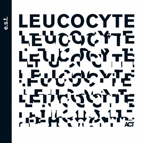 Leucocyte