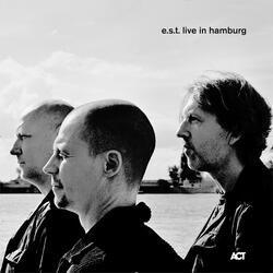 The Rube Thing (Live in Hamburg)