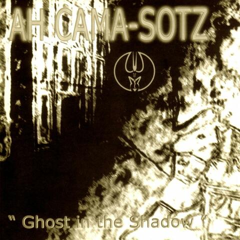 Ghost in the Shadow