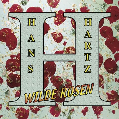 Wilde Rosen