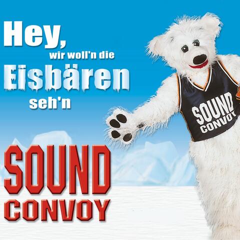 Hey, wir woll'n die Eisbären sehn