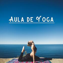 Meditação e Yoga