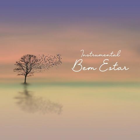 Instrumental: Bem Estar