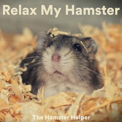 Deep Sleep Meditation for Hamsters