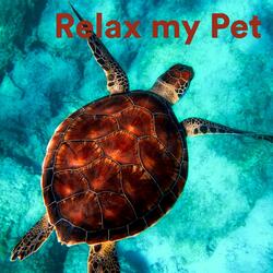 Lovely Calming Guinea Pig Music