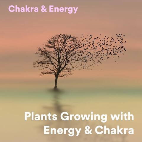 Plants Growing with Energy & Chakra