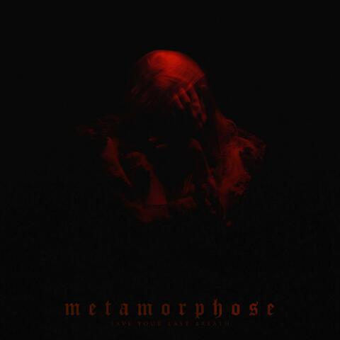 Metamorphose