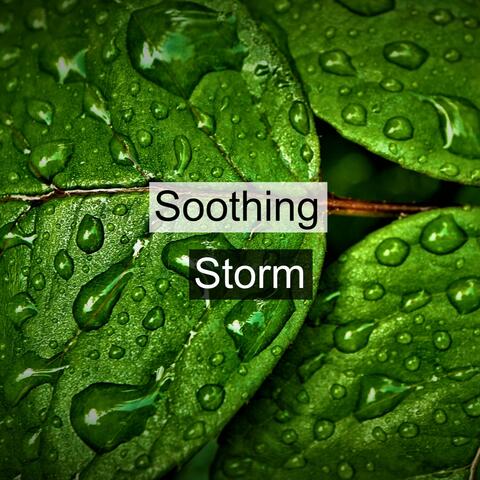 Rain Sounds Ambience