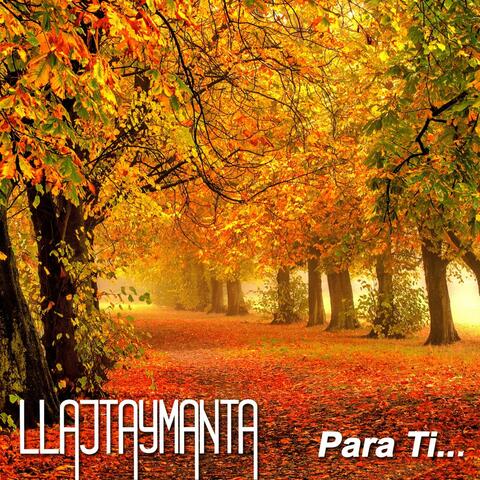 Para Ti...