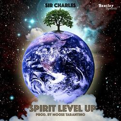 Spirit Level Up