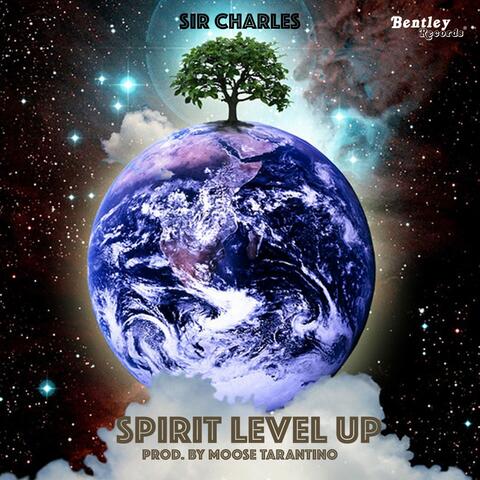 Spirit Level Up