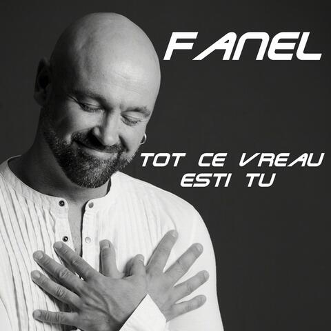 Tot ce vreau esti tu