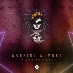Working Memory