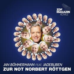 Zur Not Norbert Röttgen