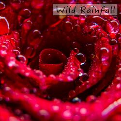 Dark Rain