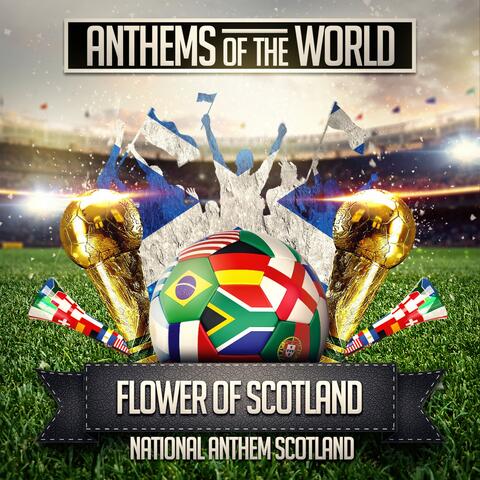 Flower of Scotland