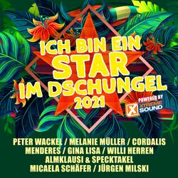 Komm steig ein
