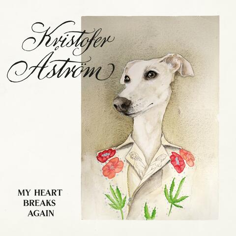 My Heart Breaks Again
