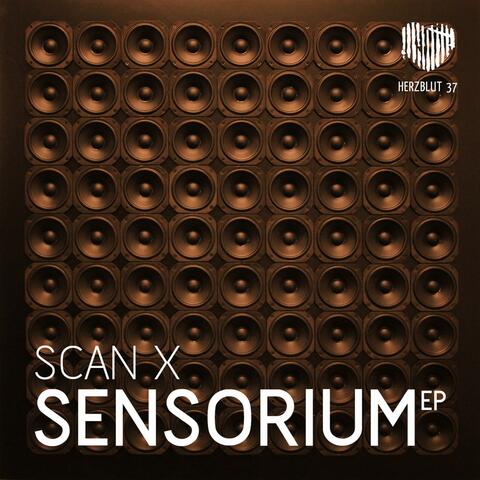 Sensorium EP