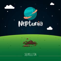 Pensamiento de Caracol