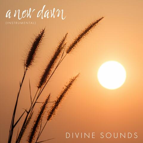 A New Dawn