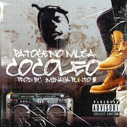 Cocoleo