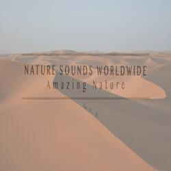 Nature Sounds Worldwide