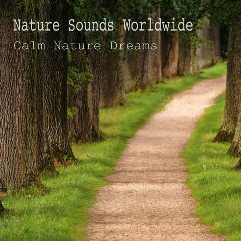 Calm Nature Dream