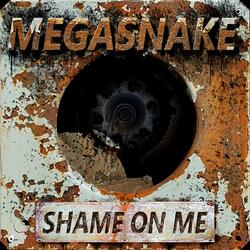Shame on Me